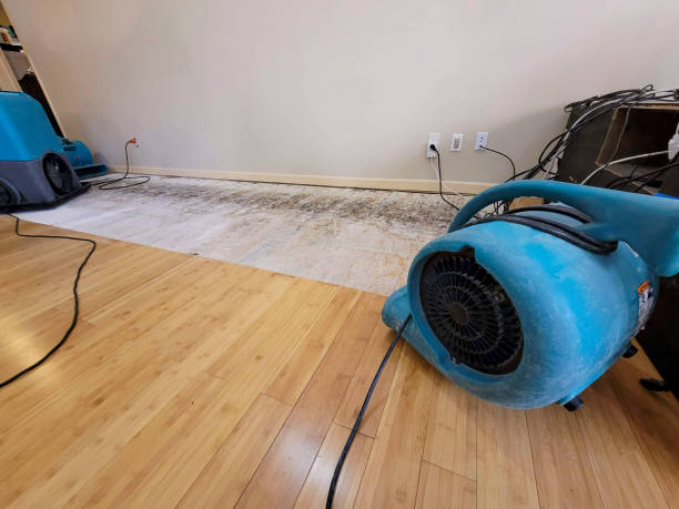 Professional Sewage Cleanup technician working in Little Falls, NY